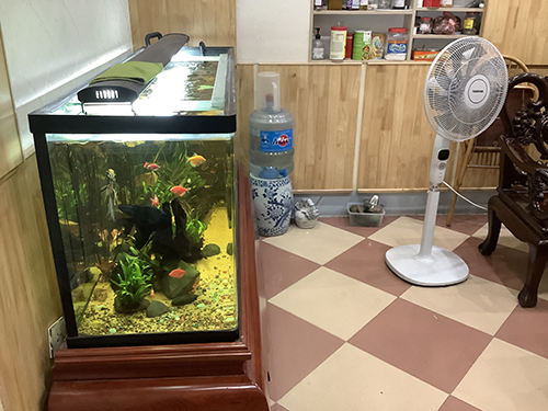 Xem phong thủy nhà bố mẹ chị Huệ ở Hà Đông Hà Nội