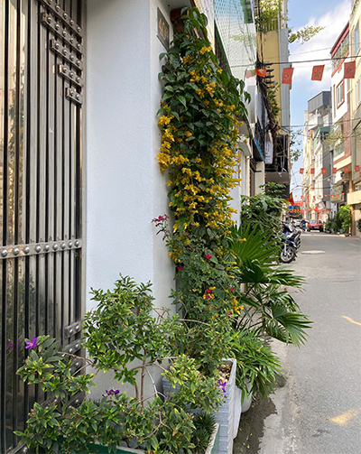 Ngũ dương thời