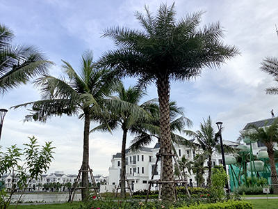 Chọn hướng Nam xây nhà đón vận 9